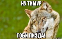 ну тимур тоби пизда!