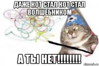 даже кот стал кот стал волшебником а ты нет!!!!!!!!