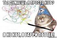 ты думаешь я просто кот ? я не кот, я гарри поттер!