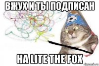 вжух и ты подписан на lite the fox