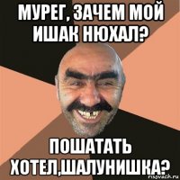 мурег, зачем мой ишак нюхал? пошатать хотел,шалунишка?