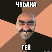 чубака гей