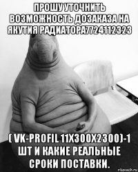 прошу уточнить возможность дозаказа на якутия радиатора7724112323 ( vk-profil 11х300х2300)-1 шт и какие реальные сроки поставки.