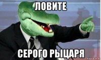 ловите серого рыцаря