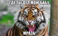 где ты дел мою бабу мразь