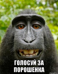  голосуй за порошенка