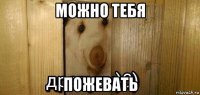 можно тебя пожевать