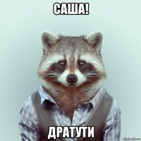 саша! дратути