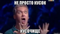 не просто кусок кусочище