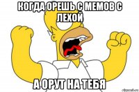 когда орешь с мемов с лехой а орут на тебя