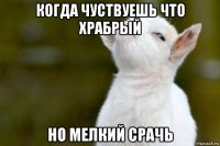 когда чуствуешь что храбрый но мелкий срачь