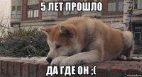 5 лет прошло да где он ;(