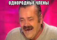 однородные члены 