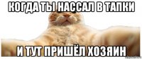 когда ты нассал в тапки и тут пришёл хозяин