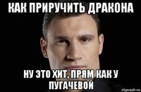 как приручить дракона ну это хит, прям как у пугачевой