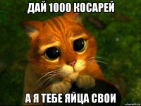 дай 1000 косарей а я тебе яйца свои