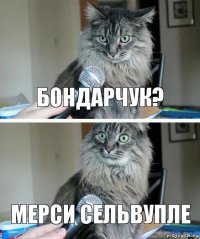 Бондарчук? Мерси сельвупле