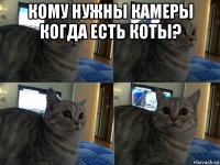 кому нужны камеры когда есть коты? 