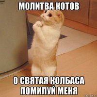 молитва котов о святая колбаса помилуй меня