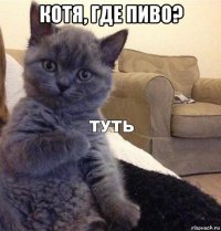 котя, где пиво? 