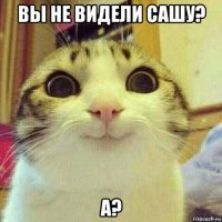 вы не видели сашу? а?