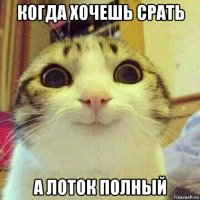 когда хочешь срать а лоток полный