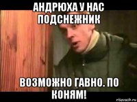 андрюха у нас подснежник возможно гавно. по коням!