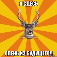 я сдесь олень из будущего!!