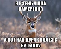 я в тень ушла намеренно а кот как дурак полез в бутылку