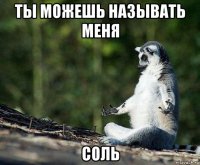 ты можешь называть меня соль