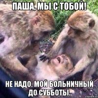 паша, мы с тобой! не надо. мой больничный до субботы.