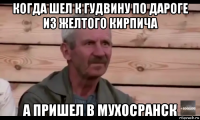 когда шел к гудвину по дароге из желтого кирпича а пришел в мухосранск