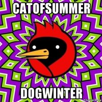 catofsummer dogwinter