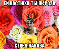 ей настюха, ты як роза серед навоза