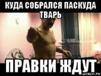 куда собрался паскуда тварь правки ждут