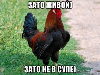 зато живой) зато не в супе)