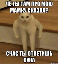 чё ты там про мою мамку сказал? счас ты ответишь сука