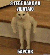 я тебе найду и ушатаю барсик