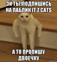 эй ты!подпишись на паблик it z cats а то пропишу двоечку