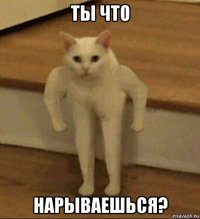 ты что нарываешься?