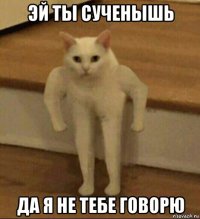 эй ты сученышь да я не тебе говорю