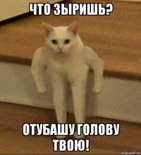 что зыришь? отубашу голову твою!