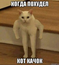 когда похудел кот качок