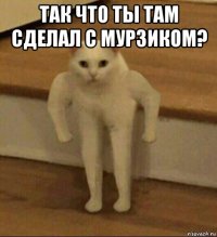 так что ты там сделал с мурзиком? 