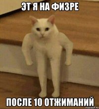 эт я на физре после 10 отжиманий