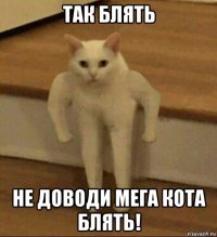 так блять не доводи мега кота блять!