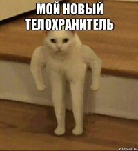 мой новый телохранитель 