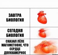 Завтра биология Сегодня биология сказал лёле магометовне, что сердце двухкамерное