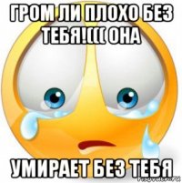 гром ли плохо без тебя!((( она умирает без тебя