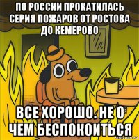 по россии прокатилась серия пожаров от ростова до кемерово все хорошо. не о чем беспокоиться